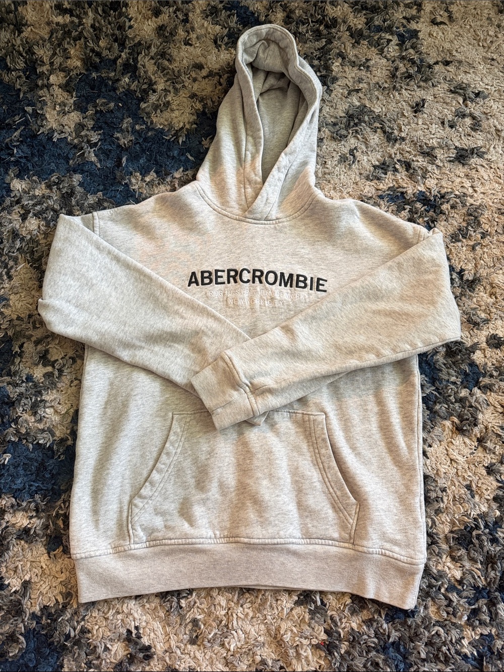 Abercrombie & Fitch Boy’s Light Gray Logo Hoodie